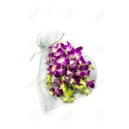 Oriental Orchids (Basic)