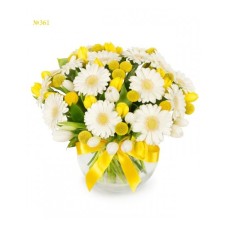 Calming White Gerberas (Basic)