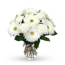 Calming White Daisy (Basic)