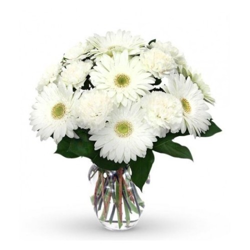 Calming White Daisy (Basic)