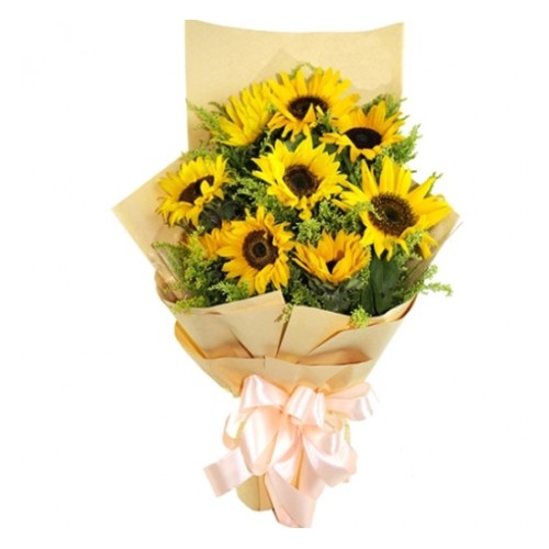Rays of Sunshine (Basic)