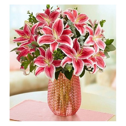 Stunning Pink Oriental (Basic)