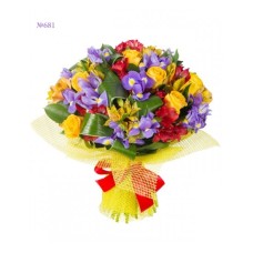 Kind Wishes (Basic)