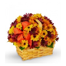 Basket of Daisies (Basic)