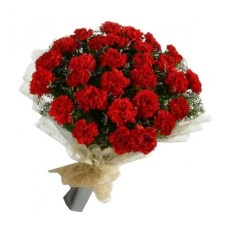 Red Carnation Handy Bunch (Basic)