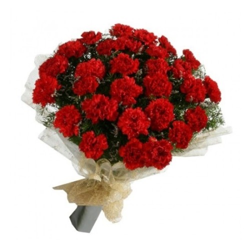 Red Carnation Handy Bunch (Basic)
