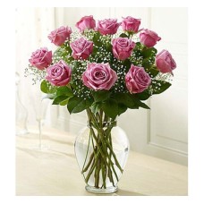 Premium lavender rose (Basic)