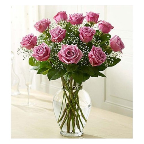 Premium lavender rose (Basic)