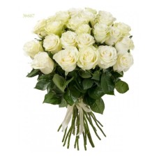Beautiful Amazing White (Basic)