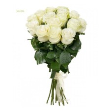 White Rose Harmony (Basic)