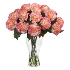 Beauty of Carnation (Basic)