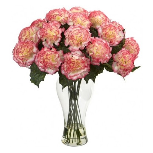 Beauty of Carnation (Basic)