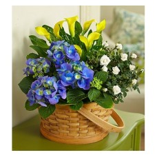 Joyful Blooms Garden (Basic)