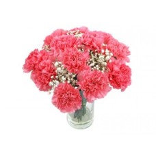Red Passion Gerberas (Basic)