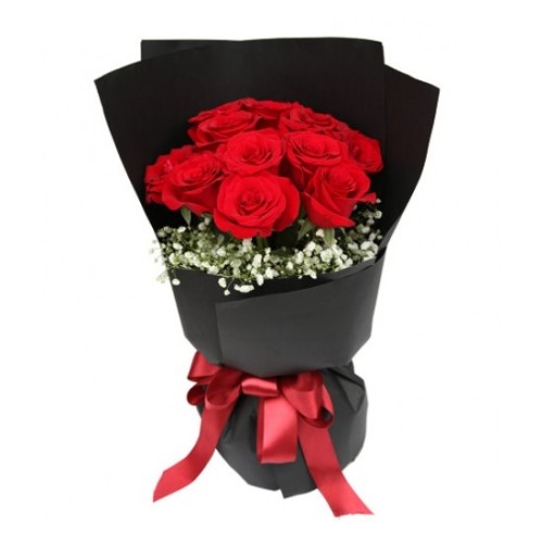 Black & Red (Basic)
