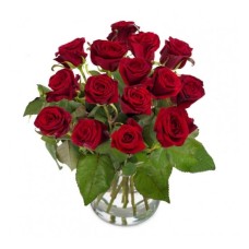Red roses of Perfection