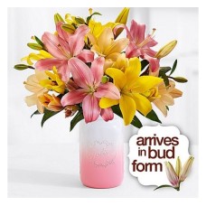 Royal Spring Lilies (Basic)