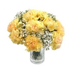 Pretty Yellow Carnation (Basic)