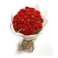 Red Carnation Sparkle (Basic)