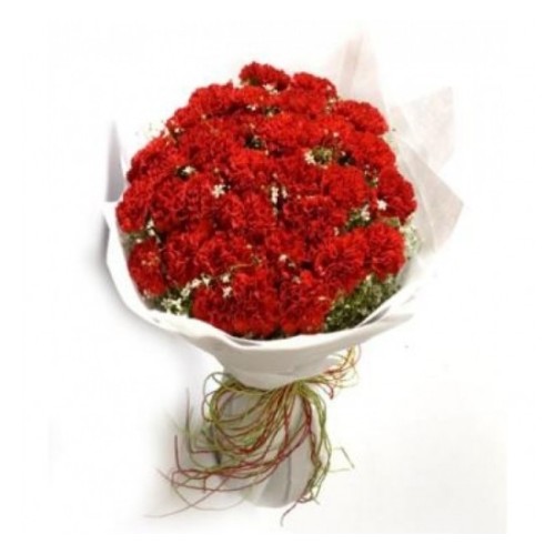 Red Carnation Sparkle (Basic)