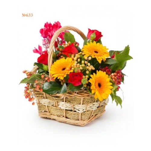 Sweet Sunrise Gerberas