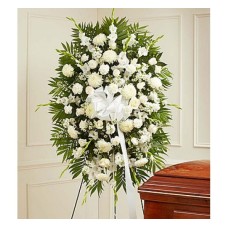 White Sympathy (Basic)