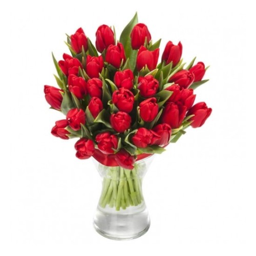 Alluring Tulip (Basic)