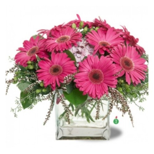 Hot Pink Daisy (Basic)