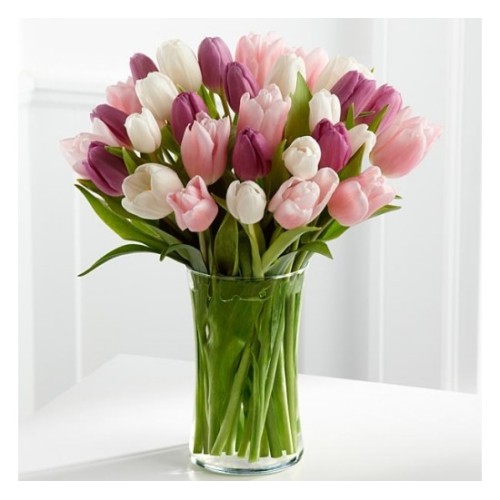 Sherbet Tulips (Basic)