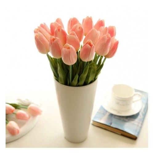 Tulips in peach (Basic)