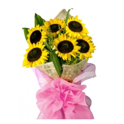 Sunflower admiration (Basic)