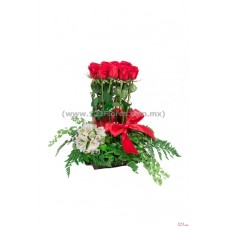 Kyoto (12 Roses)
