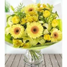 Yellow Yellow