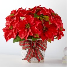 Happiest Holidays Poinsettia (Standard)