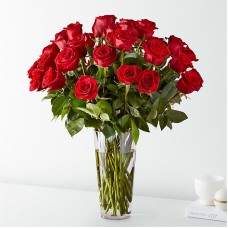 Timeless Long Stem Red Rose Bouquet (Three Dozen Roses)