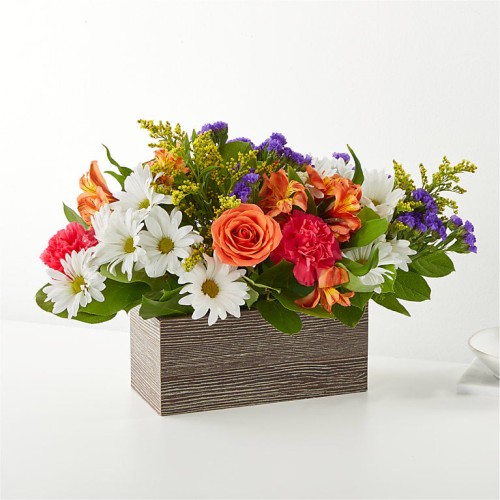 Oopsie Daisy Box Bouquet (PREMIUM)