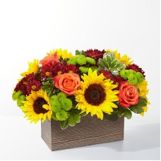 Happy Harvest Garden (Deluxe)