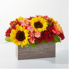 Fresh Cider Bouquet (Deluxe)