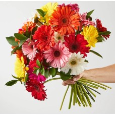 Sunkissed Gerbera Bouquet (Deluxe Sunkissed Gerbera Bouquet with Vase)
