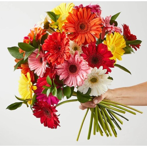 Sunkissed Gerbera Bouquet (Deluxe Sunkissed Gerbera Bouquet)