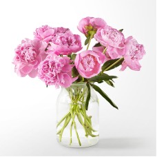 Fresh Peony Bouquet (Deluxe with Blush Vase)