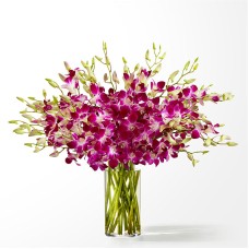 Positively Purple Orchid Bouquet (Deluxe with Vase)