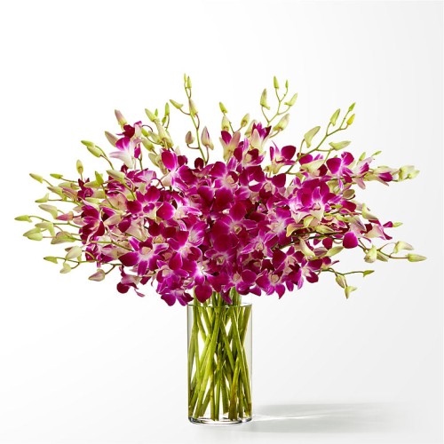 Positively Purple Orchid Bouquet (Deluxe with Vase)