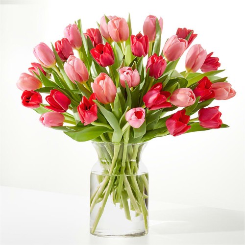 Crushing on You Tulip Bouquet (Deluxe with Clear Vase)
