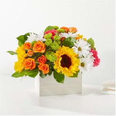 Sun-drenched Blooms Box Bouquet (DELUXE)