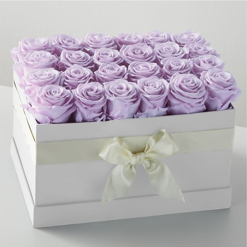 Lavender Forever Rose (16 Preserved Roses)