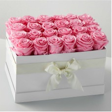 Pink Forever Roses (24 Preserved Roses)