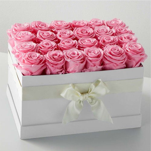 Pink Forever Roses (12 Preserved Roses)