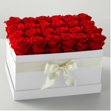 Red Forever Roses (12 Preserved Roses)