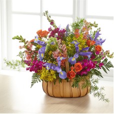 Garden of Life Basket (DELUXE) Garden of Life Basket (DELUXE)